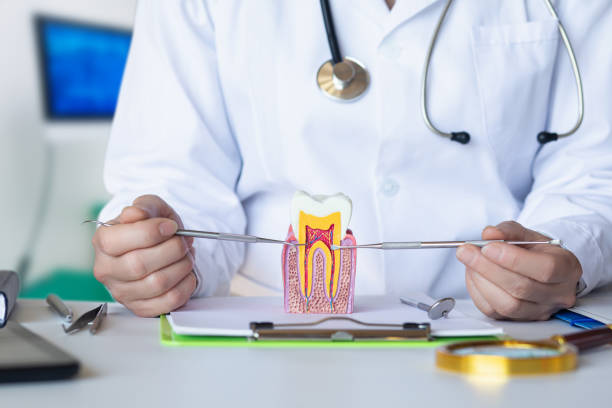 Best Pediatric Emergency Dentist in Rockwell Place, TX